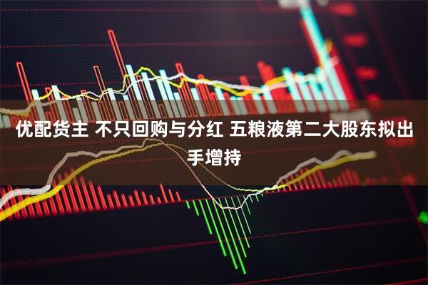 优配货主 不只回购与分红 五粮液第二大股东拟出手增持